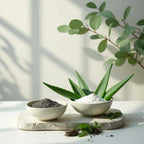 Clay Mask for Pores shown as dark gray and white clay powders in ceramic bowls beside fresh aloe leaves